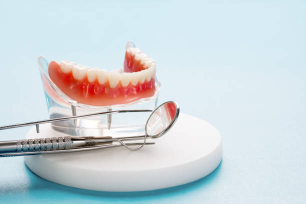 Best Dental X-Rays and Imaging  in Willis, TX